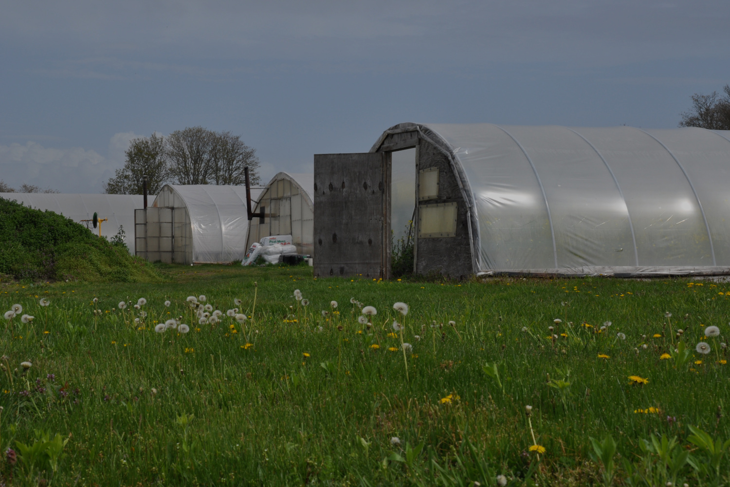 Certified Organic Farm